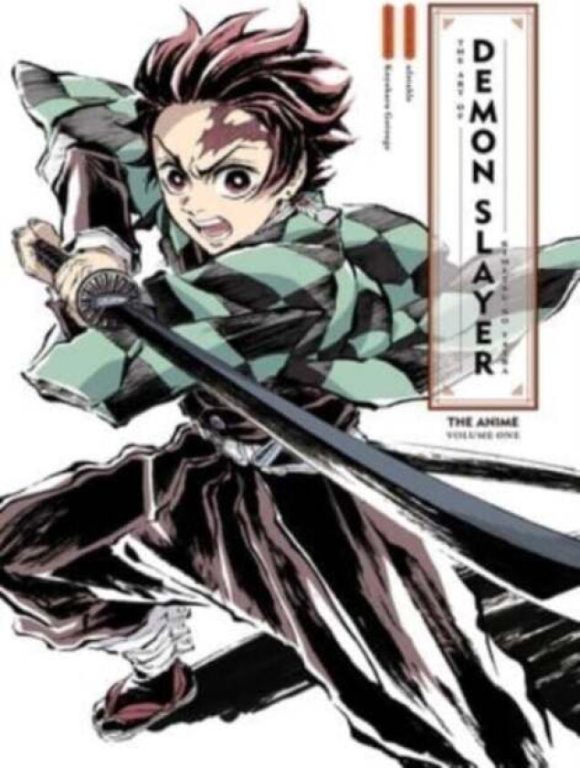 The Art of Demon Slayer: Kimetsu no Yaiba the Anime