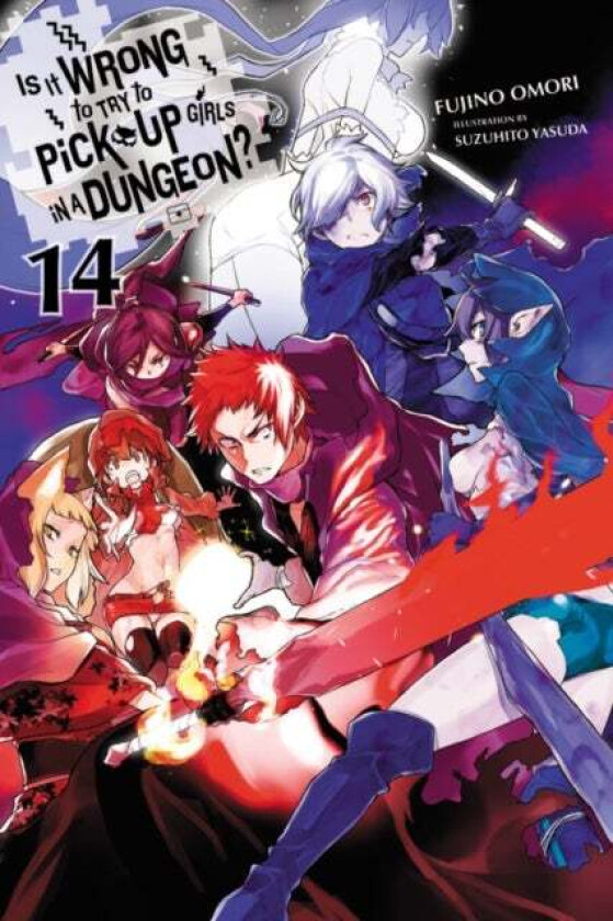 Is It Wrong to Try to Pick Up Girls in a Dungeon?, Vol. 14 (light novel) av Fujino Omori