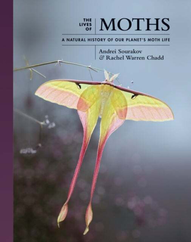 The Lives of Moths av Andrei Sourakov, Rachel Warren Chadd