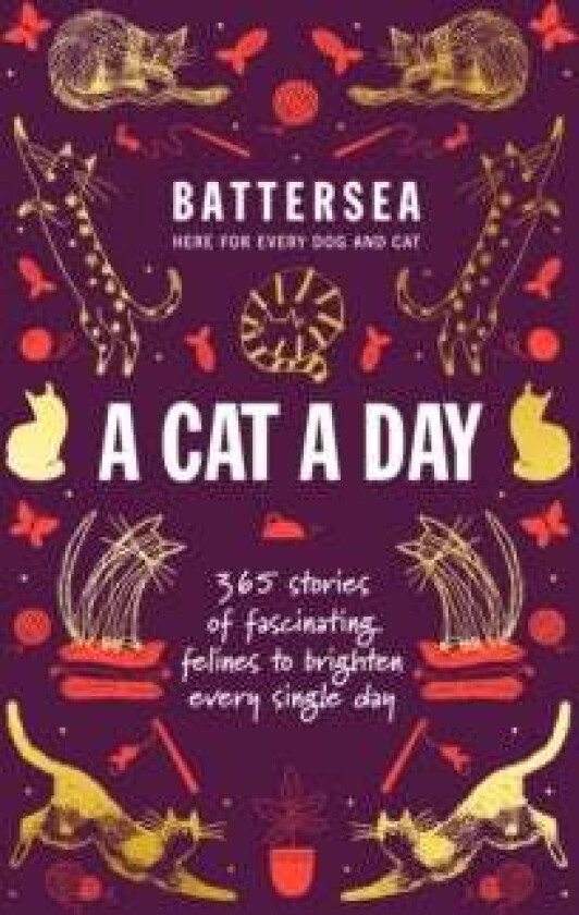 Battersea Dogs and Cats Home - A Cat a Day av Battersea Dogs and Cats Home