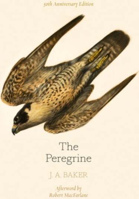 The Peregrine: 50th Anniversary Edition av J. A. Baker