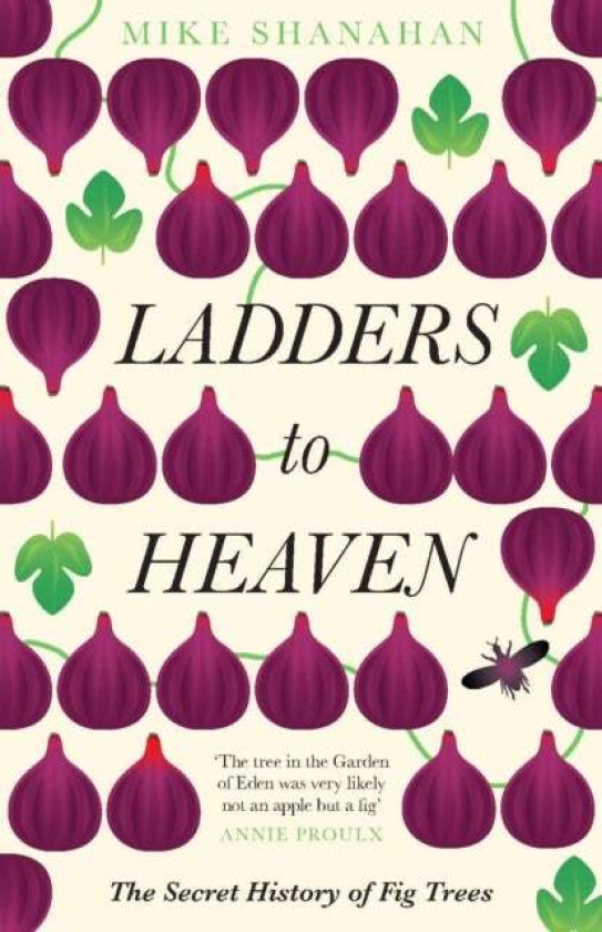 Ladders to Heaven av Mike Shanahan