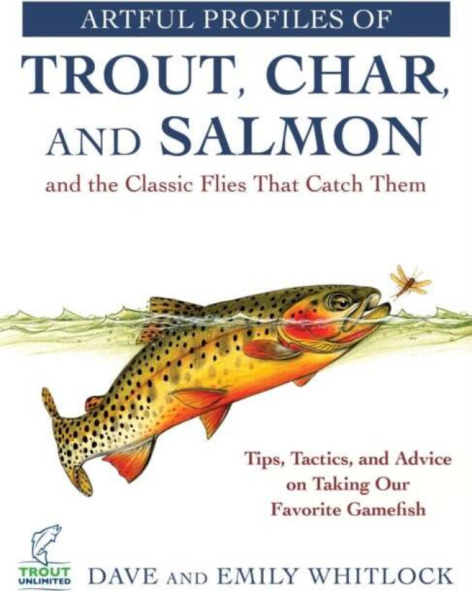 Artful Profiles of Trout, Char, and Salmon and the Classic Flies That Catch Them av Dave Whitlock, Emily Whitlock