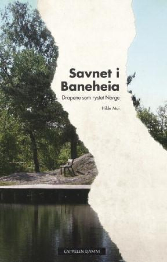 Savnet i Baneheia av Hilde Moi