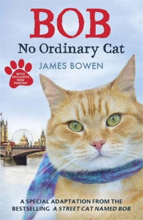 Bob av James Bowen