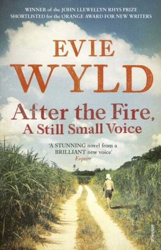 After the Fire, A Still Small Voice av Evie Wyld