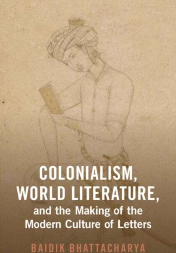 Colonialism, World Literature, and the Making of the Modern Culture of Letters av Baidik (Centre for the Study of Developing Societies) Bhattacharya