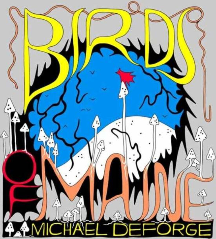 Birds of Maine av Michael DeForge