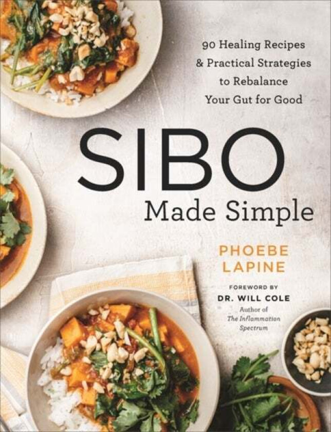 SIBO Made Simple av Phoebe Lapine