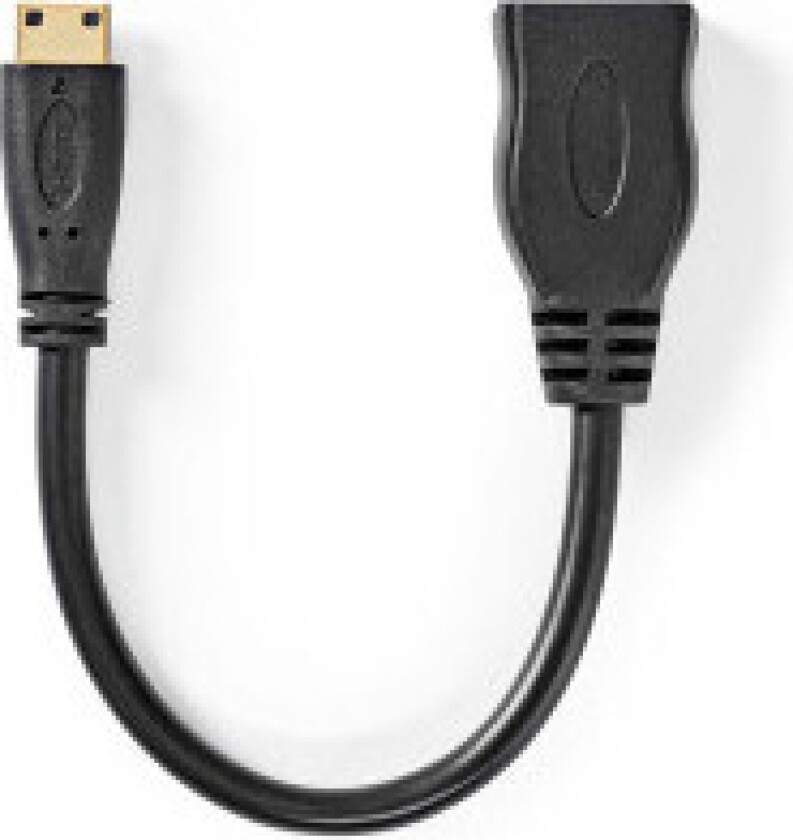 High Speed HDMI kabel med Ethernet | HDMI minikontakt | HDMI Output | 4K@30Hz | 10.2 Gbps | 0.20 m | Rund | PVC | Sort |