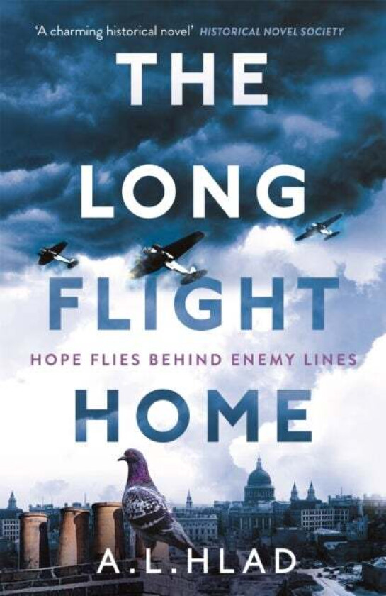 The Long Flight Home av A.L. Hlad