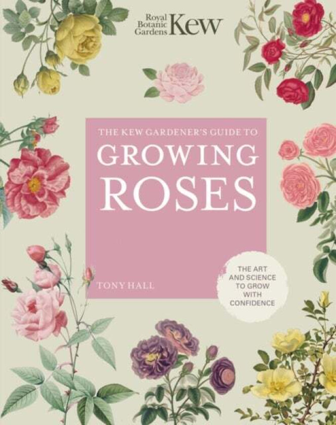 The Kew Gardener's Guide to Growing Roses av Royal Botanic Gardens Kew, Tony Hall
