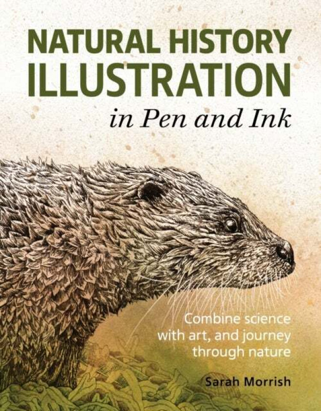 Natural History Illustration in Pen and Ink av Sarah Morrish