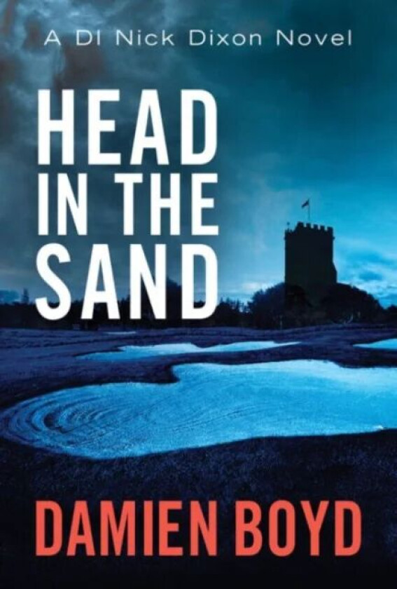 Head in the Sand av Damien Boyd