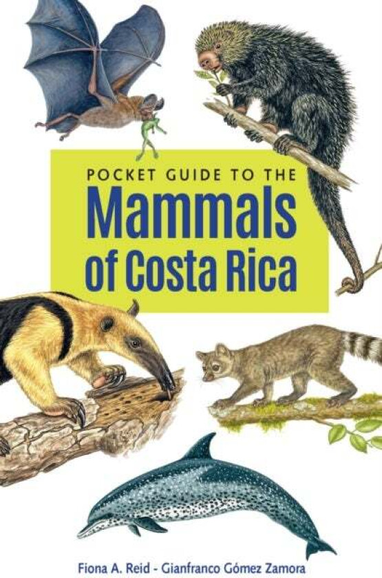 Pocket Guide to the Mammals of Costa Rica av Fiona A. Reid, Gianfranco Gomez Zamora