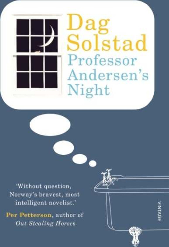 Professor Andersen's Night av Dag Solstad