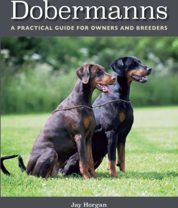 Dobermanns av Jay Horgan