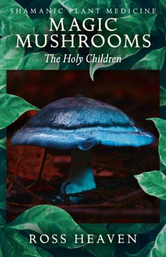Shamanic Plant Medicine - Magic Mushrooms: The Holy Children av Ross Heaven