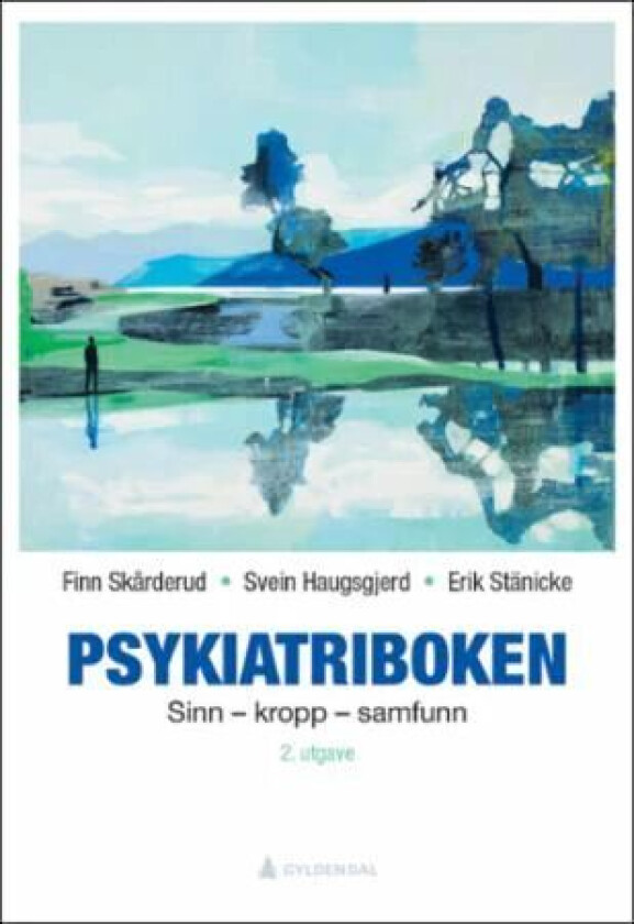 Psykiatriboken av Svein Haugsgjerd, Finn Skårderud, Erik Stänicke