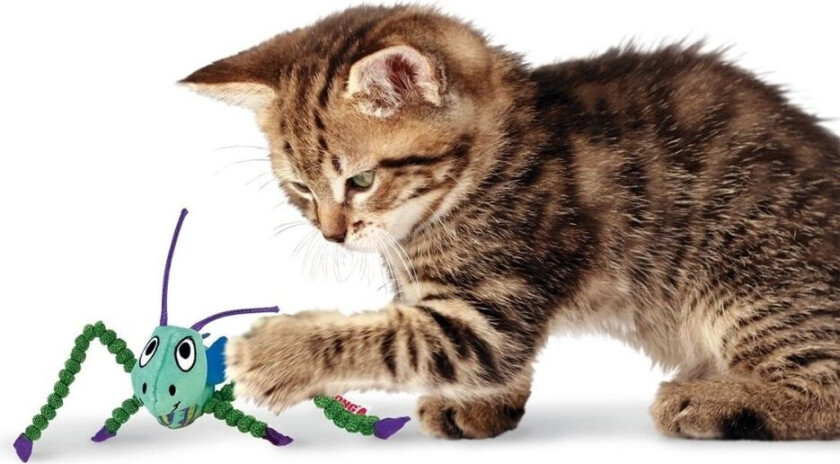 KONG - Crackles Grasshopper 15X15X5Cm