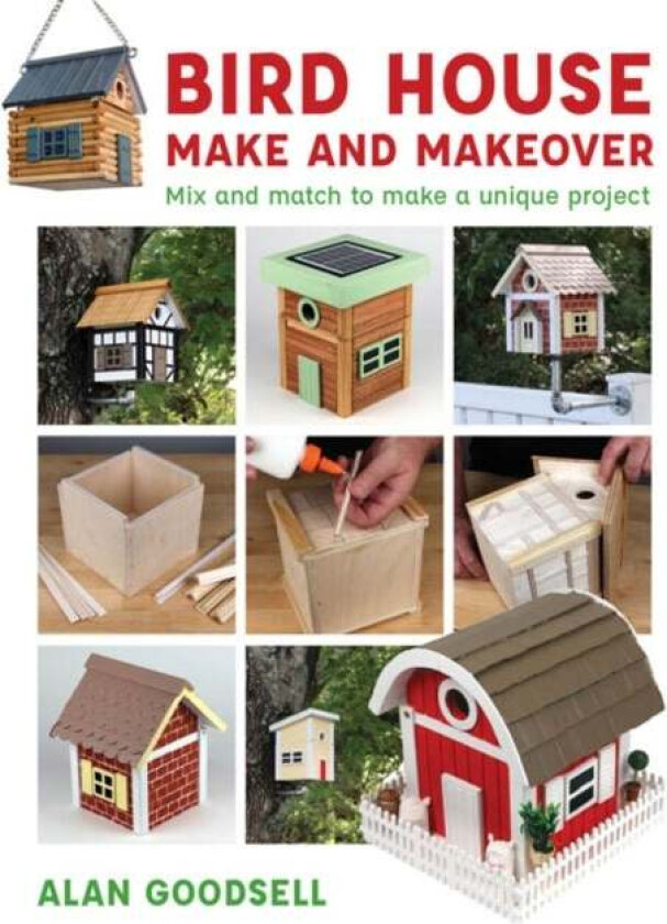 Bird House Make and Makeover av Alan Goodsell