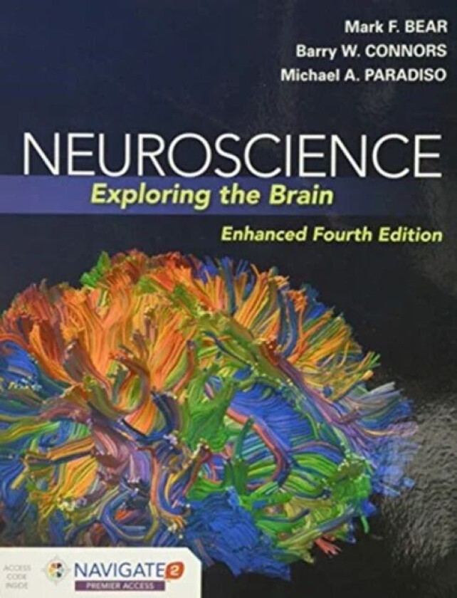 Neuroscience: Exploring The Brain, Enhanced Edition av Mark Bear, Barry Connors, Michael A. Paradiso