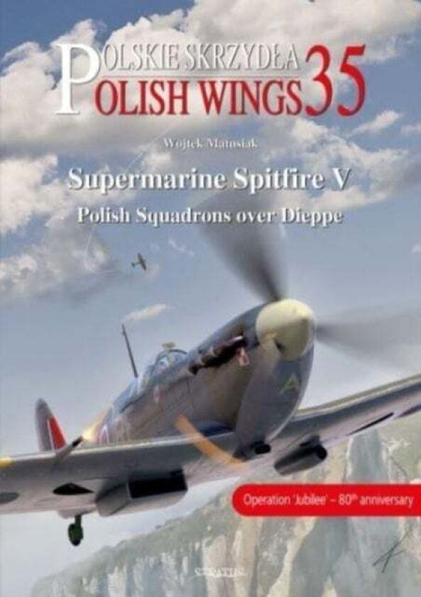 Supermarine Spitfire V av Wojtek Matusiak, Robert Grudzien