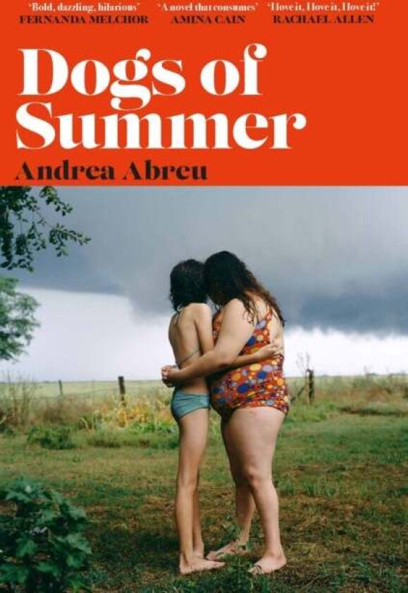 Dogs of Summer av Andrea Abreu
