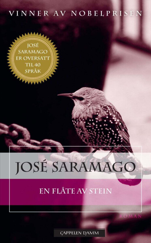 En Flåte Av Stein Av Jose Saramago
