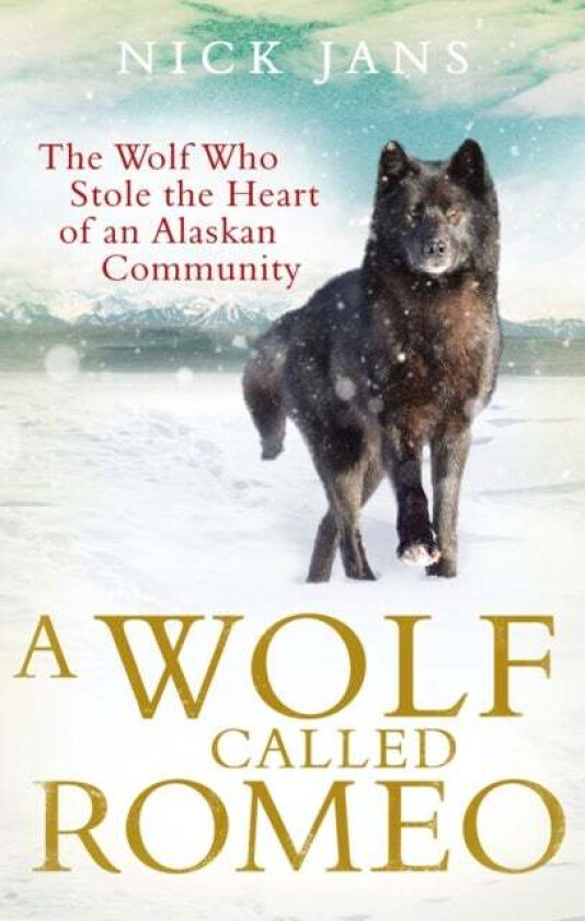 A Wolf Called Romeo av Nick Jans