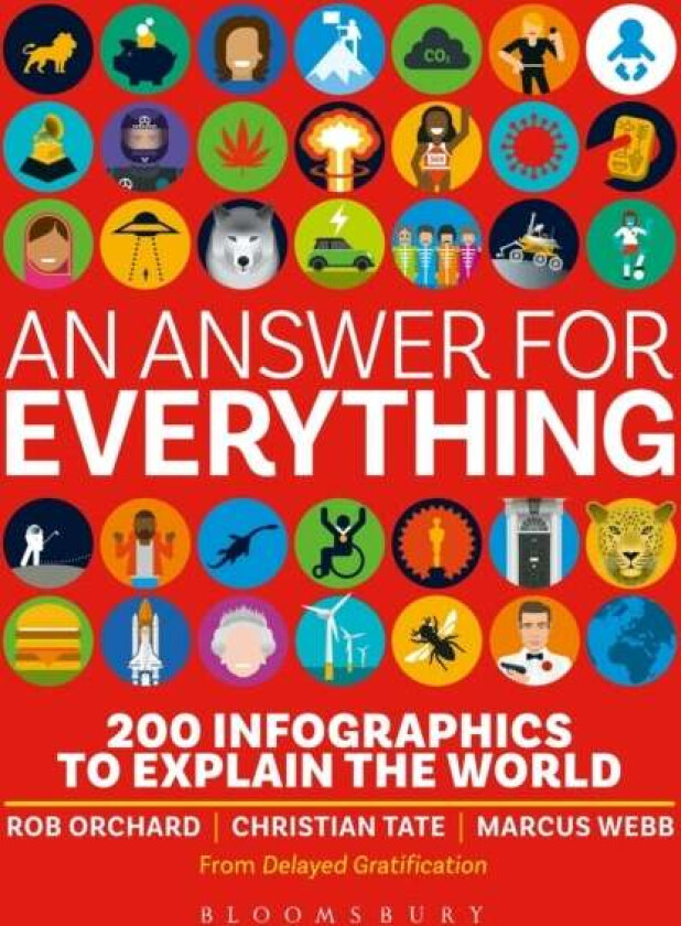 An Answer for Everything av Delayed Gratification