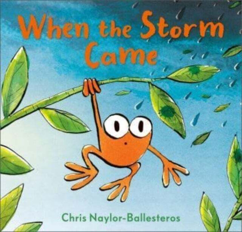 When The Storm Came Av Chris Naylor-Ballesteros