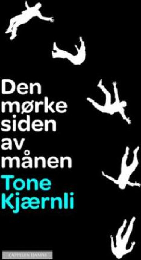 Den mørke siden av månen av Tone Kjærnli