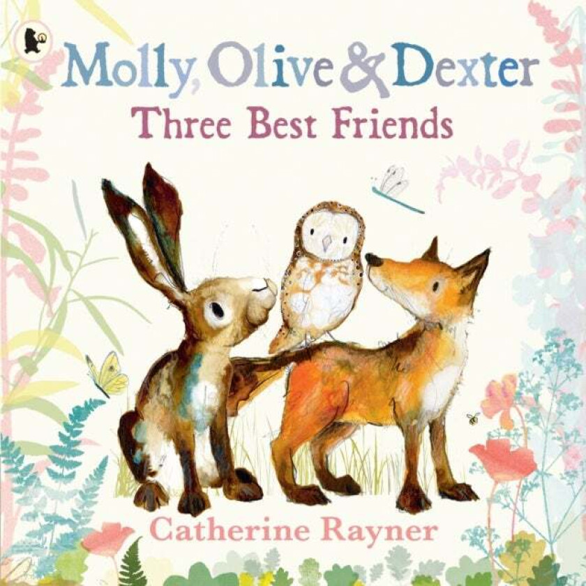 Molly, Olive And Dexter: Three Best Friends Av Catherine Rayner