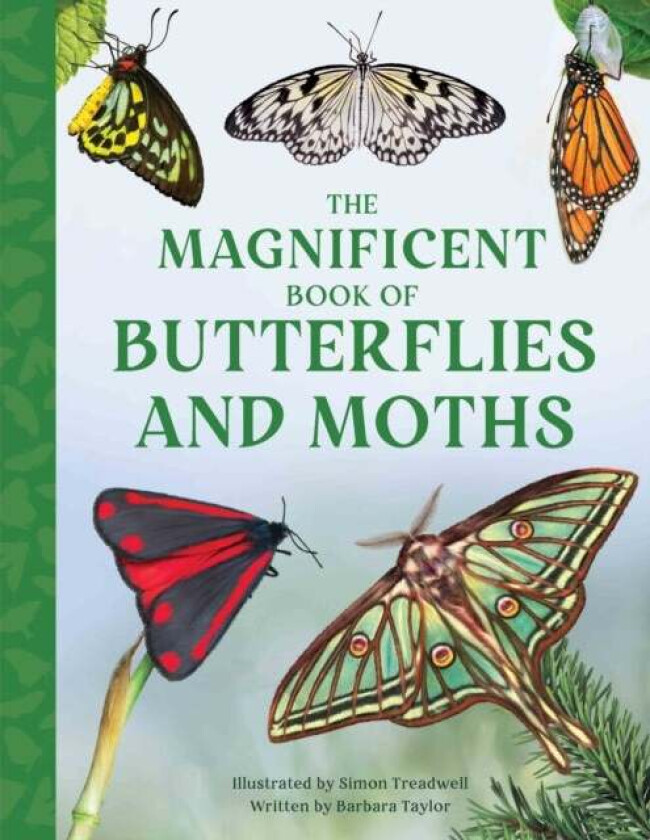 The Magnificent Book Of Butterflies And Moths Av Barbara Taylor