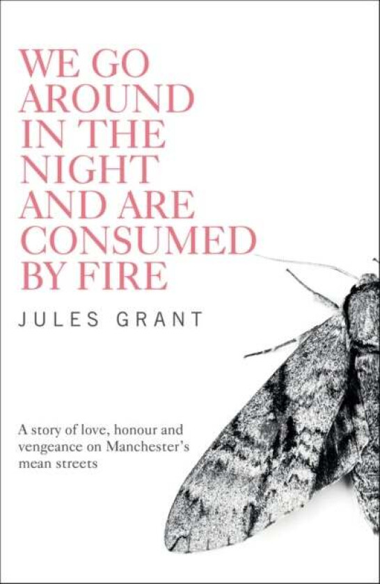 We Go Around in the Night and are Consumed by Fire av Jules Grant