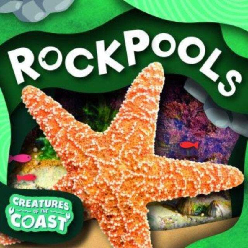 Rockpools Av Noah (Booklife Publishing Ltd) Leatherland