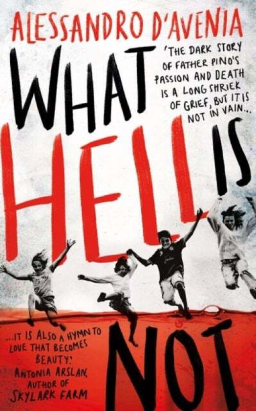 What Hell Is Not av Alessandro D'Avenia
