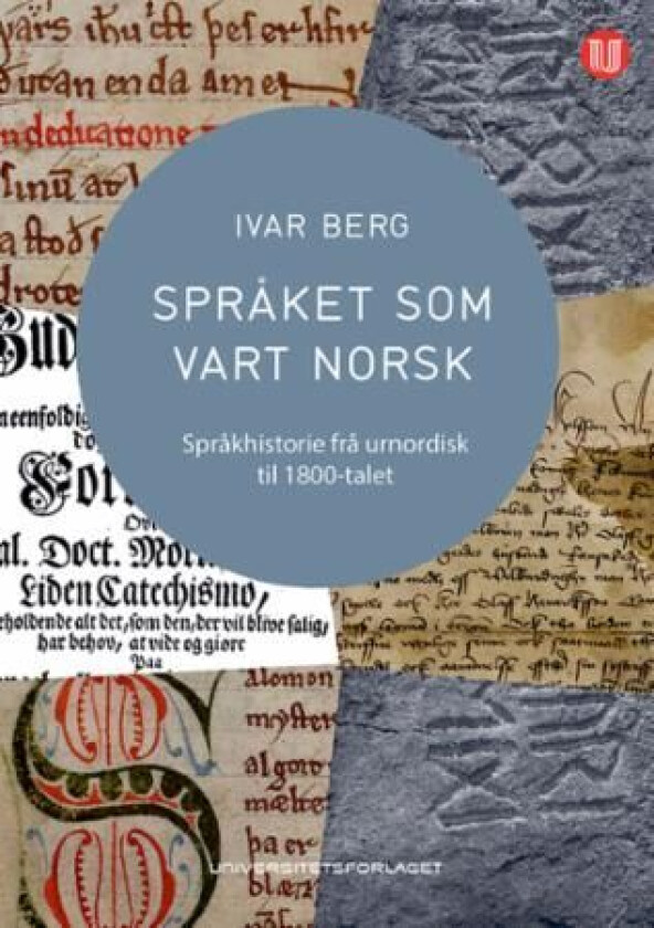 Språket som vart norsk av Ivar Berg