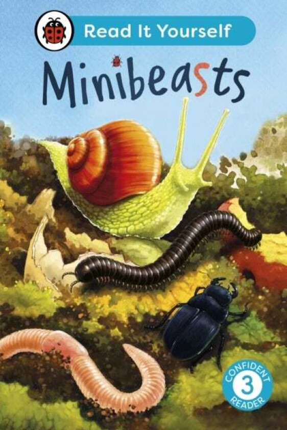 Minibeasts: Read It Yourself - Level 3 Confident Reader Av Ladybird