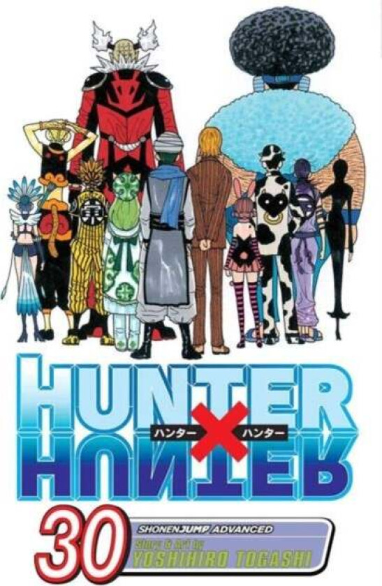 Hunter x Hunter, Vol. 30 av Yoshihiro Togashi