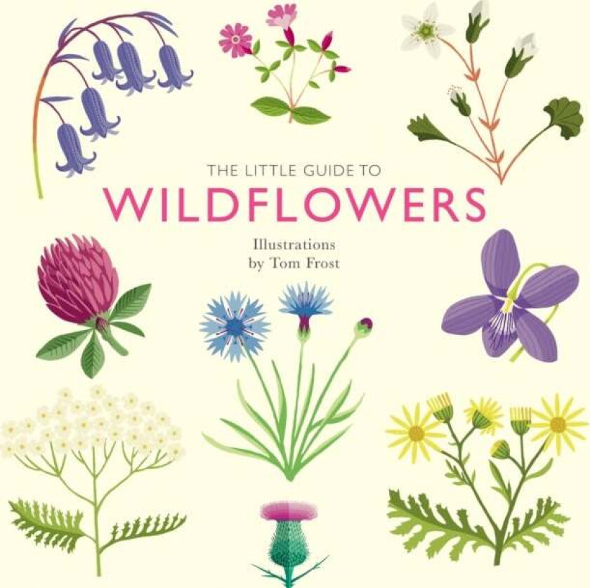 The Little Guide to Wildflowers av Alison Davies