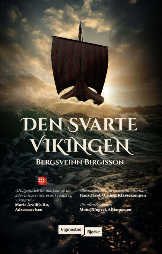 Den svarte vikingen av Bergsveinn Birgisson