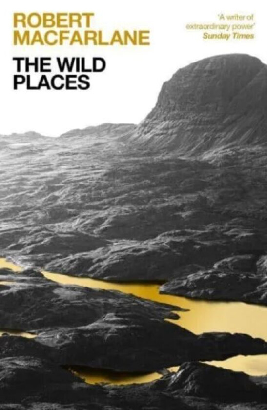 The Wild Places av Robert (Y) Macfarlane