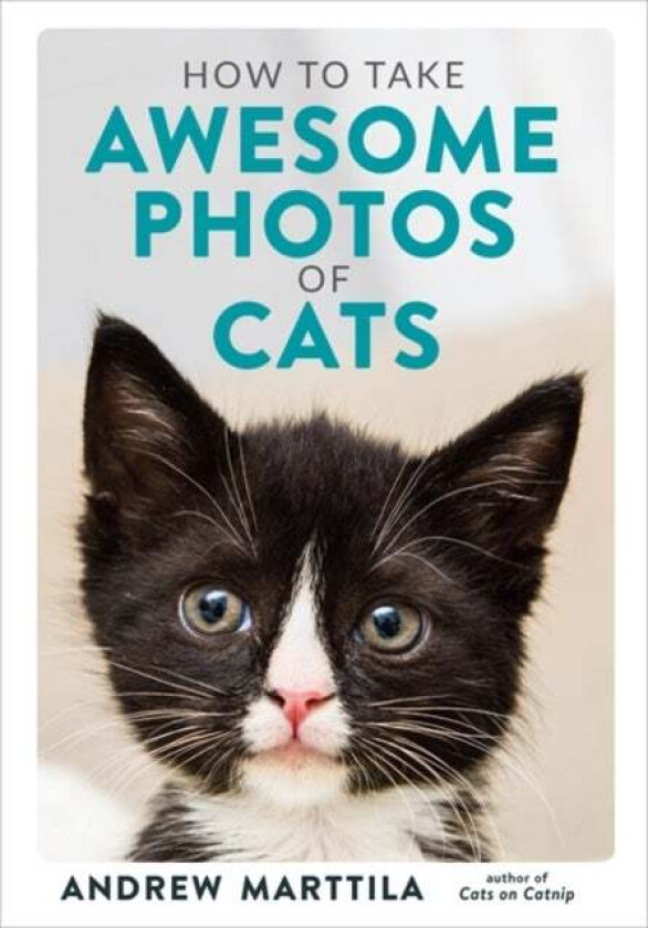 How to Take Awesome Photos of Cats av Andrew Marttila