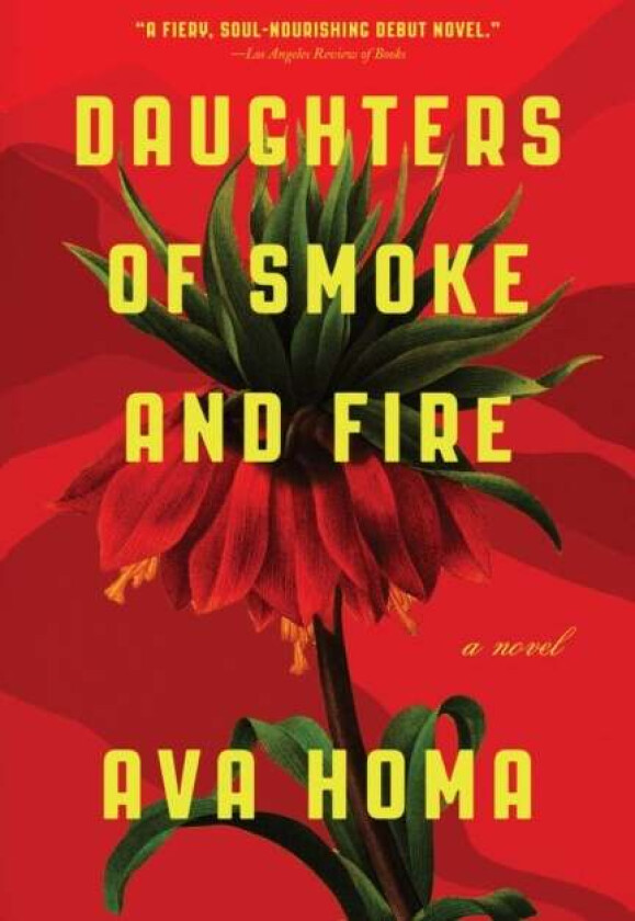Daughters of Smoke and Fire: A Novel av Ava Homa