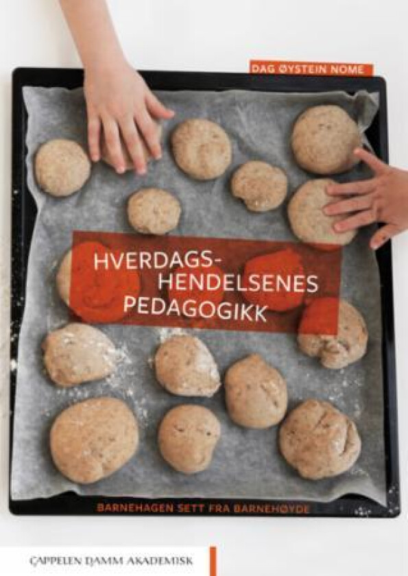 Hverdagshendelsenes pedagogikk av Dag Øystein Nome