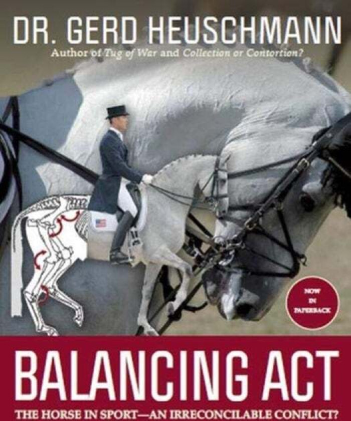 Balancing Act av Gerd Heuschmann