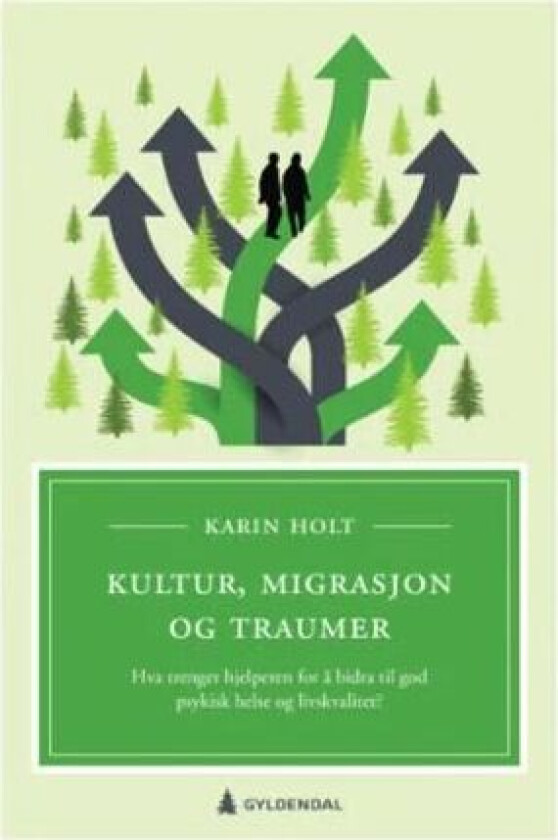 Kultur, migrasjon og traumer av Karin Holt