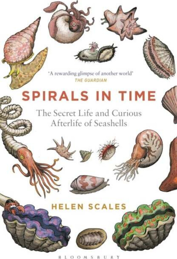 Spirals in Time av Helen Scales